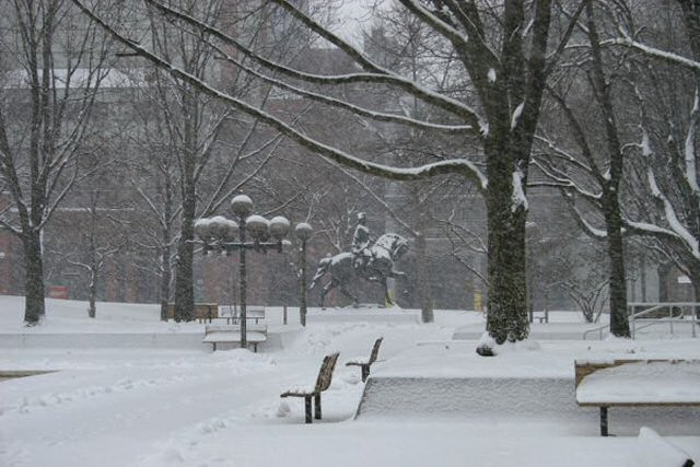 &copy; 2010 AWColley