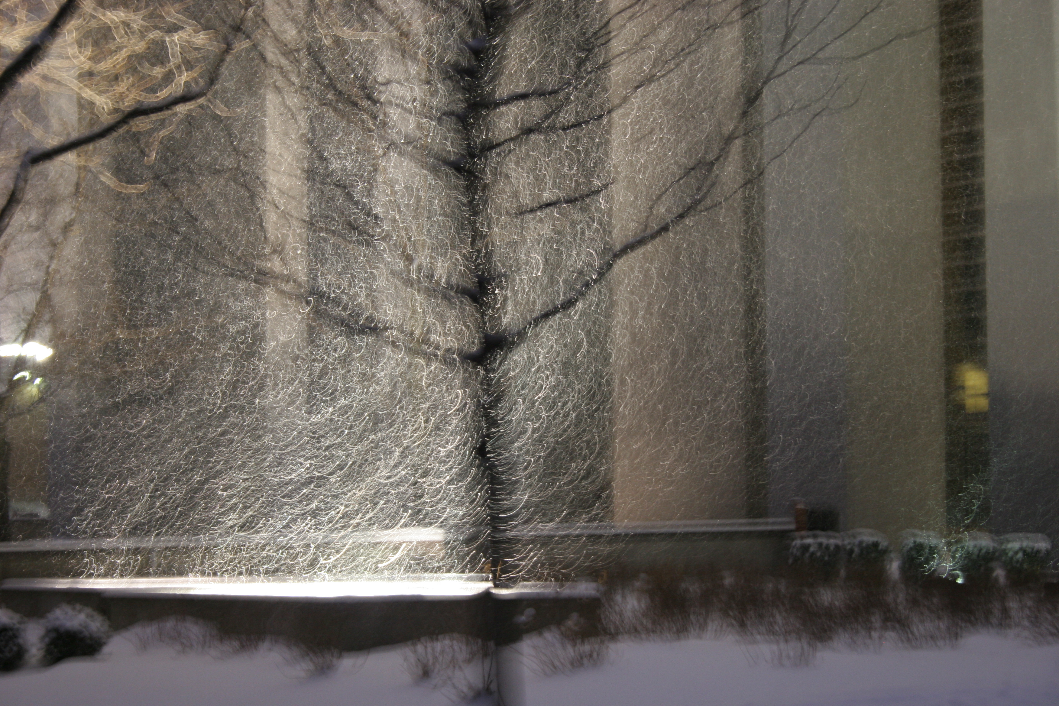 &copy; 2010 AWColley