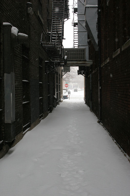 &copy; 2010 AWColley