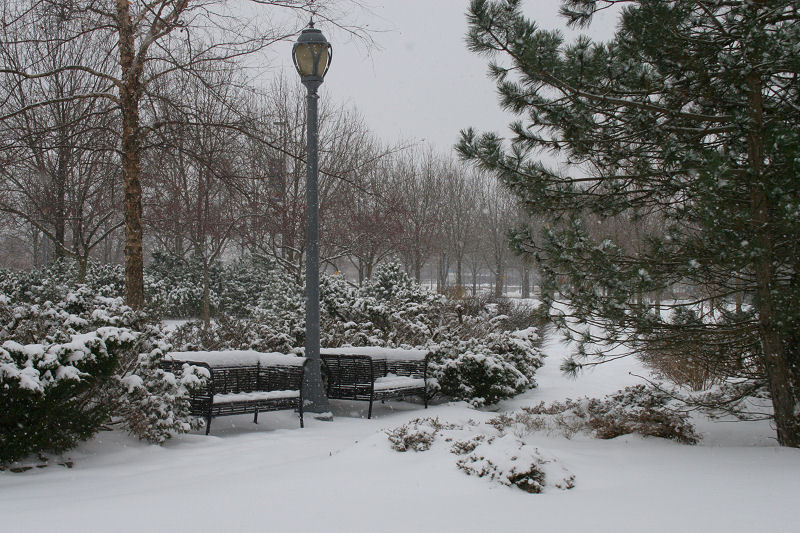 &copy; 2010 AWColley