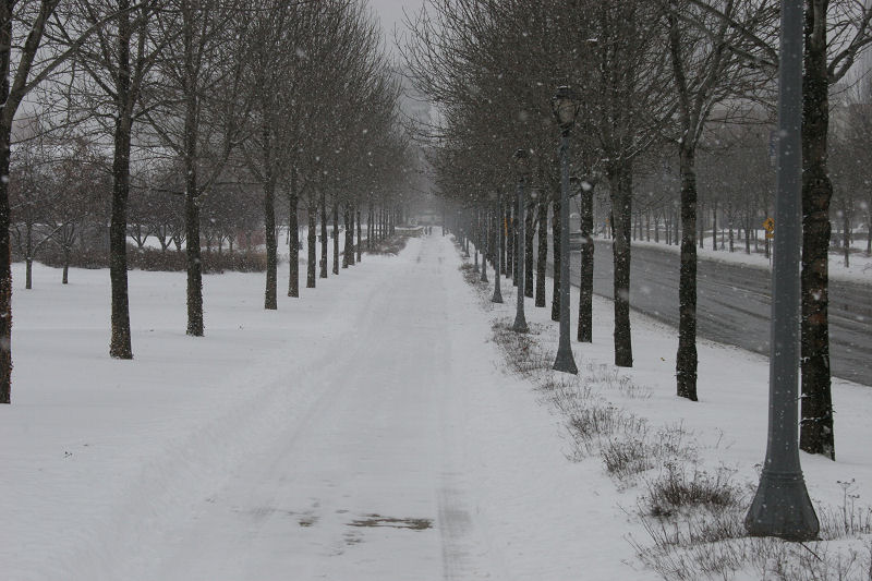 &copy; 2010 AWColley