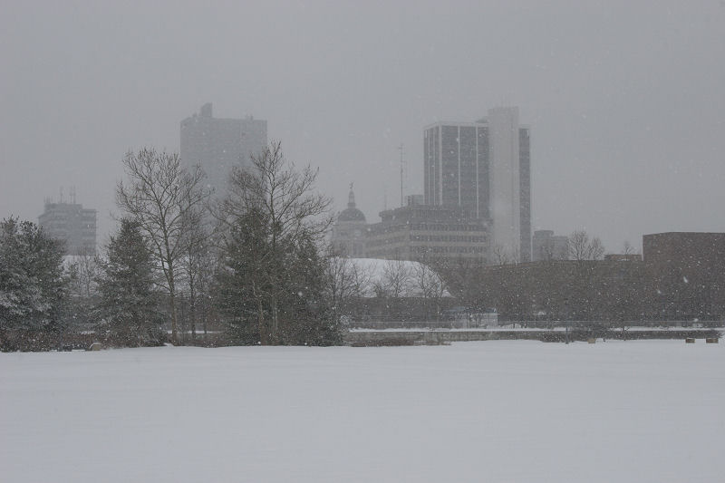 &copy; 2010 AWColley