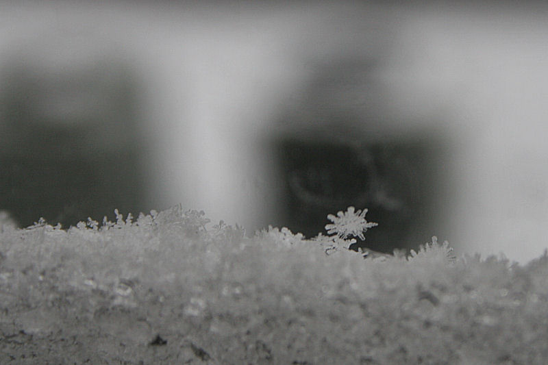 &copy; 2010 AWColley