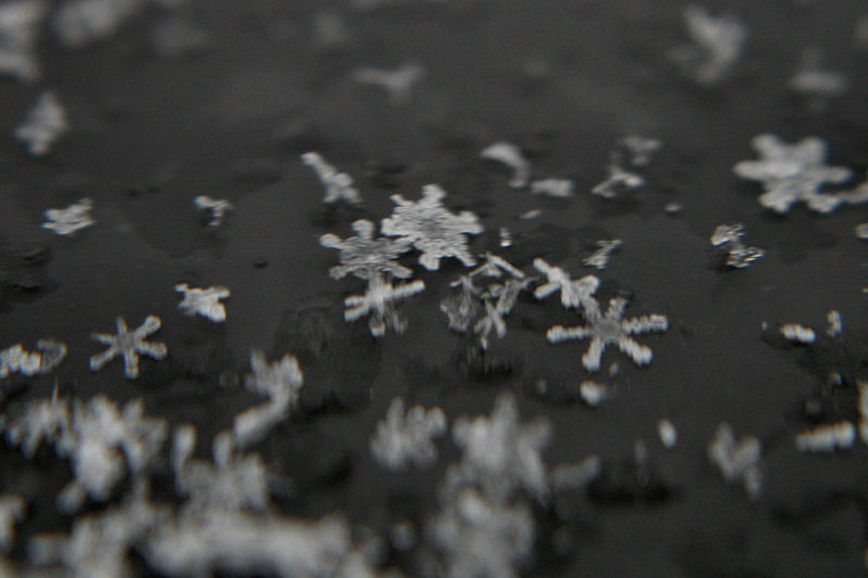 &copy; 2010 AWColley