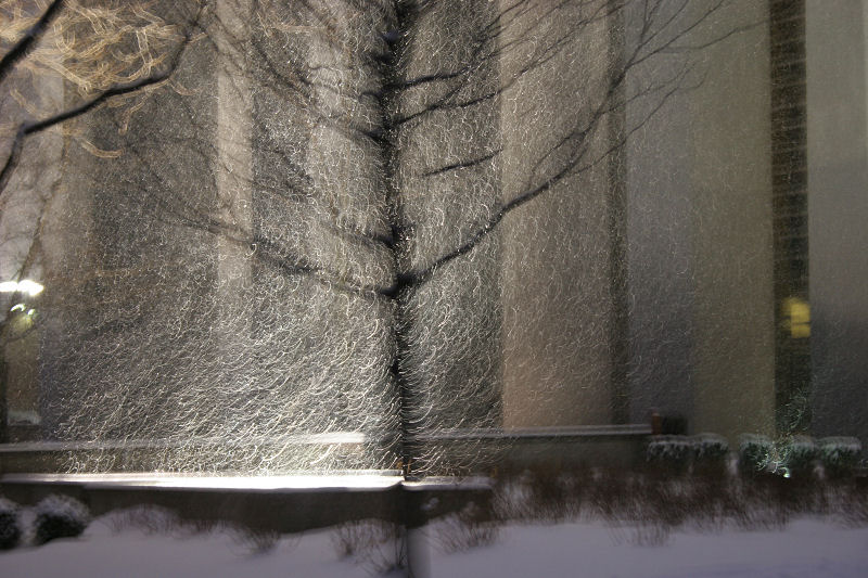 &copy; 2010 AWColley